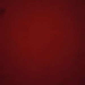 Meet your Posher, Hector